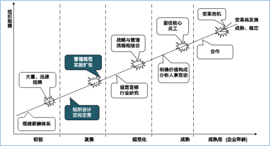 附件3——管理咨询项目案例03191240.png
